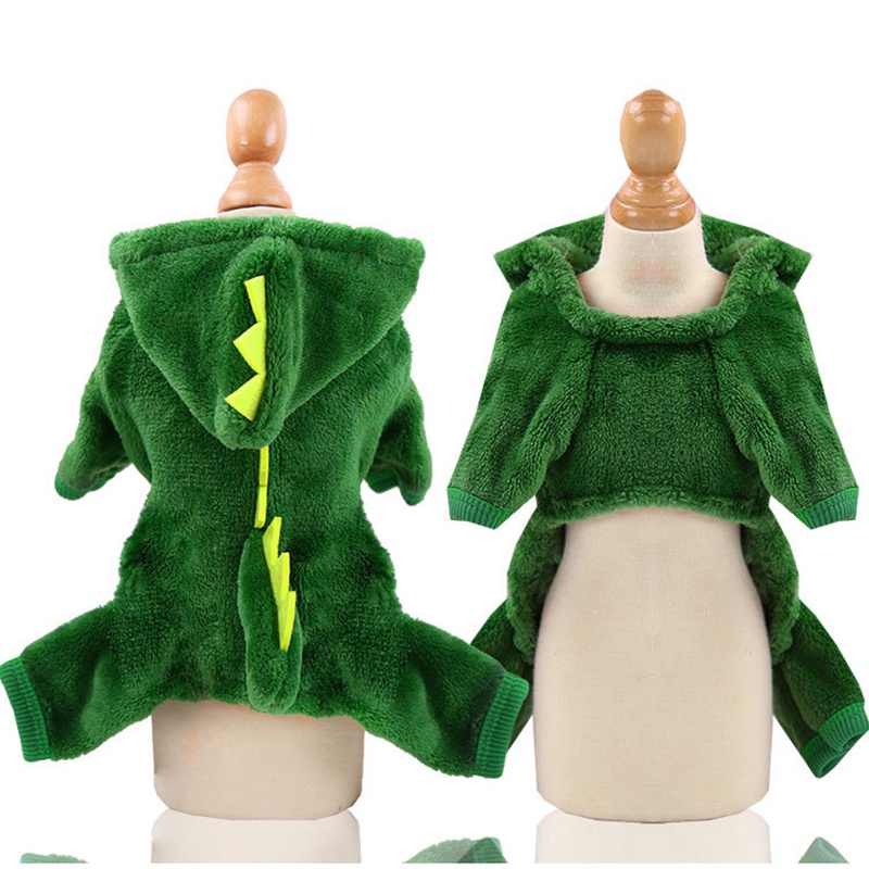 Pet Dinosaurs Transform Clothes